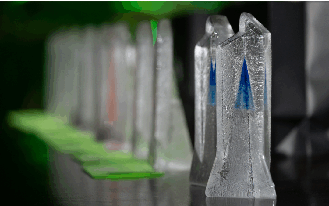 Les lauréats du Gala Prix Hotelia 2022