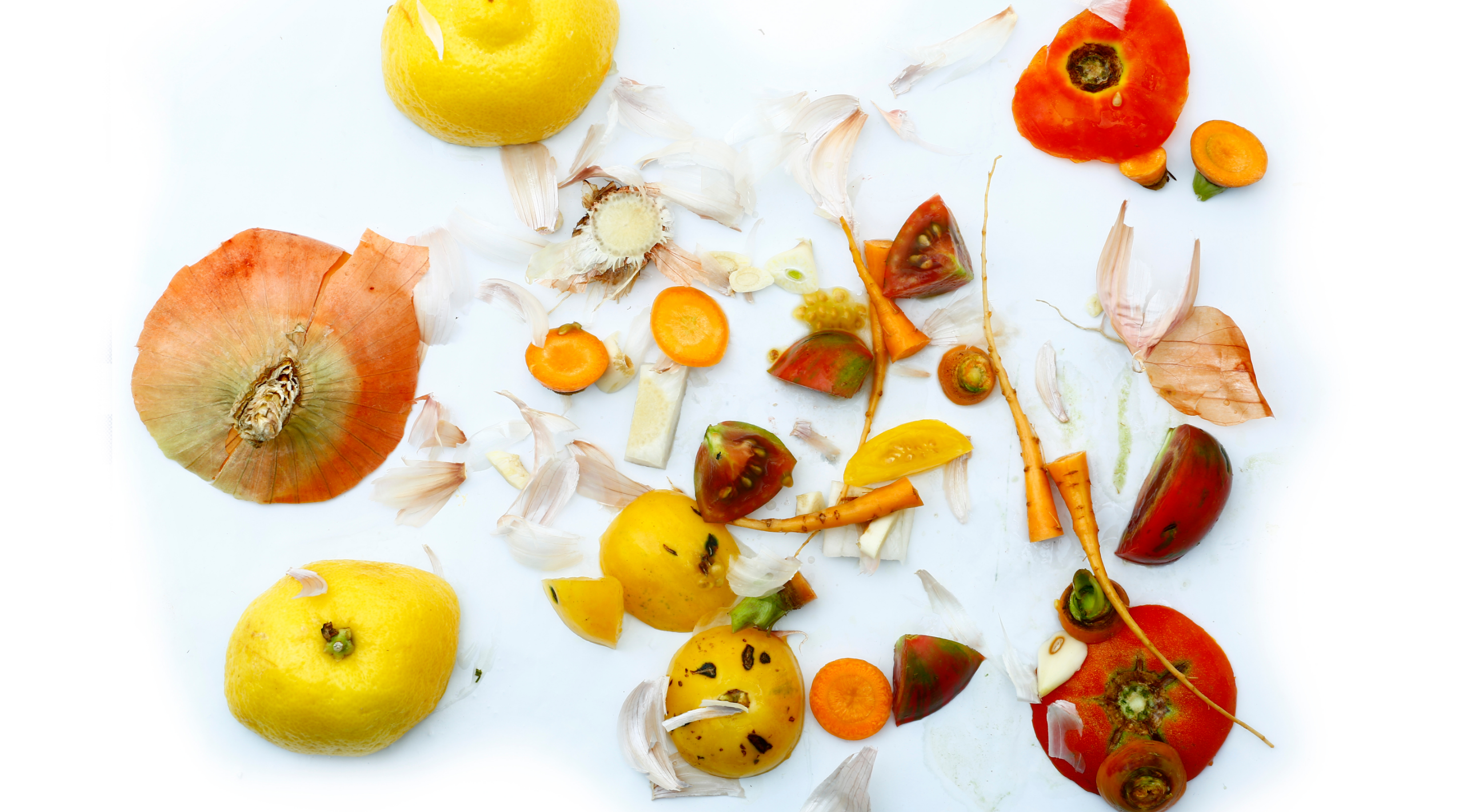 Gabarit site web – événements Gaspillage alimentaire